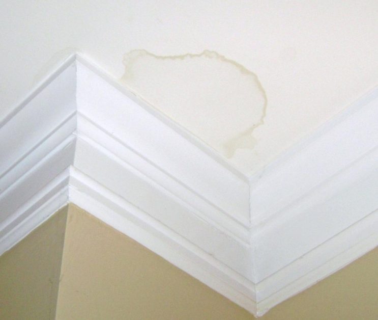 Why Should You Be Concerned About Water Stains?