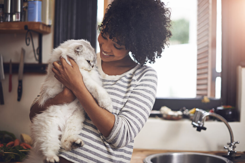 Pet Urine Breakthrough