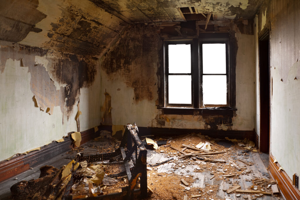 Fire Damage Restoration Professionals: Why Do We Need Them?
