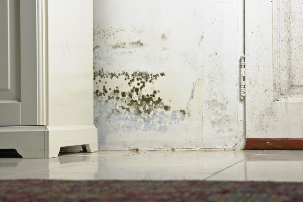 Signs Of Water Damage