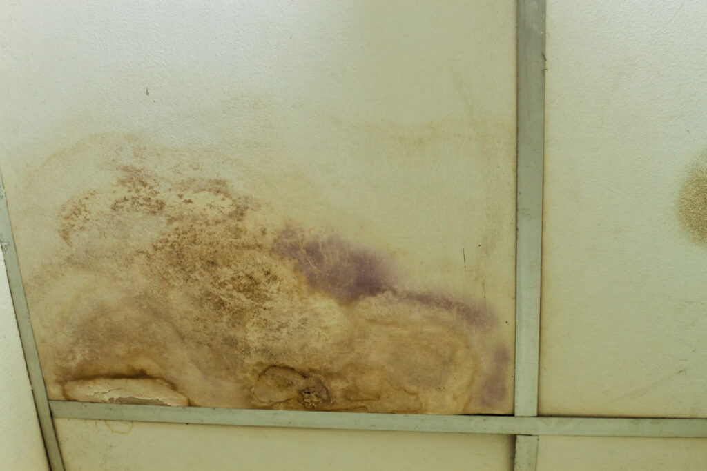 How Do I Know If My Home Has Water Damage?
