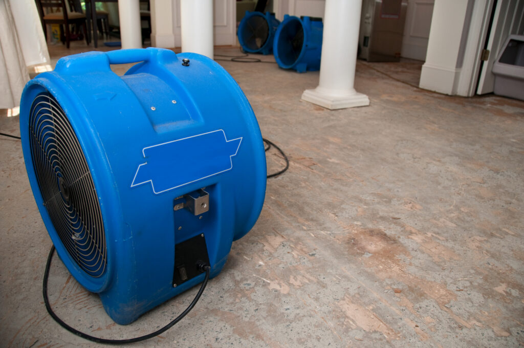 Do You Need Water Damage Removal Services? Here’s What You Should Know