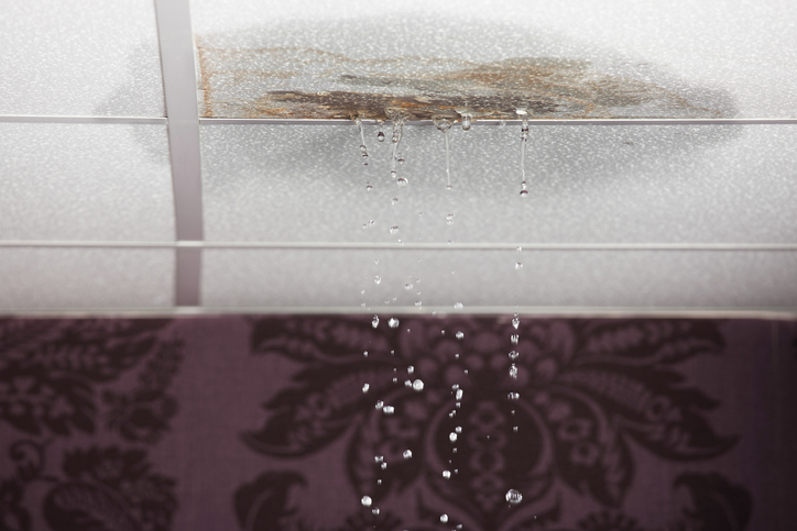 Three Downsides Of DIY Water Damage Restoration