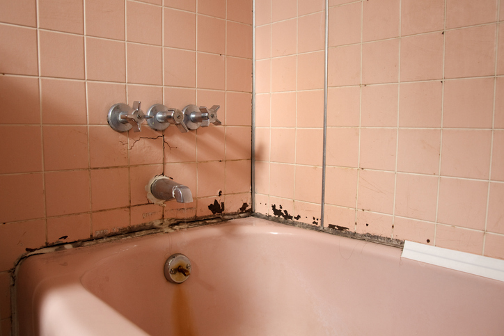What You Need To Know About Bathtub Leaks