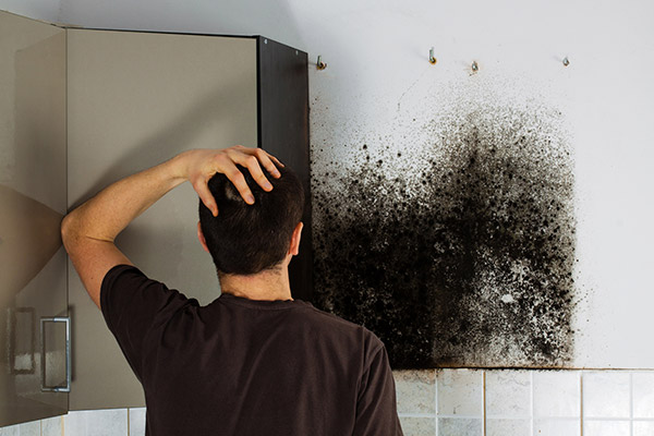 Mold Prevention And Remediation In Commercial Buildings