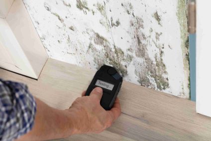 Why Mildew and Mold Control is Essential for a Healthy Home